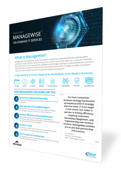 ManageWise Managed IT Services - cStor