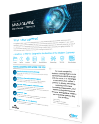 ManageWise - On-Demand IT Services - cStor