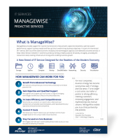 ManageWise IT Services